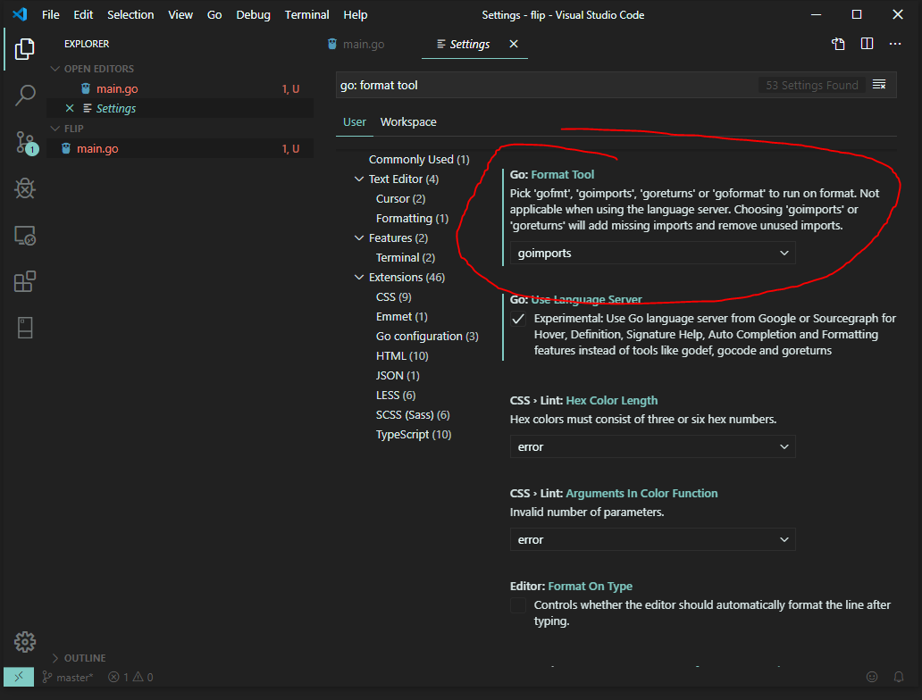 VS Code editor setting for Go: Format Tool